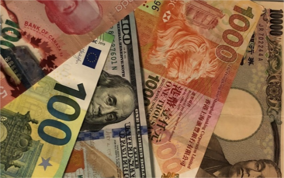 2025年外汇市场预测：宽松货币政策下，哪些货币将脱颖而出？